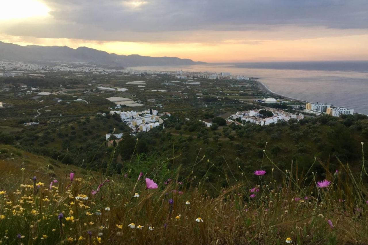 Nerja Paradise Rentals - Villa Los Girasoles Exteriör bild