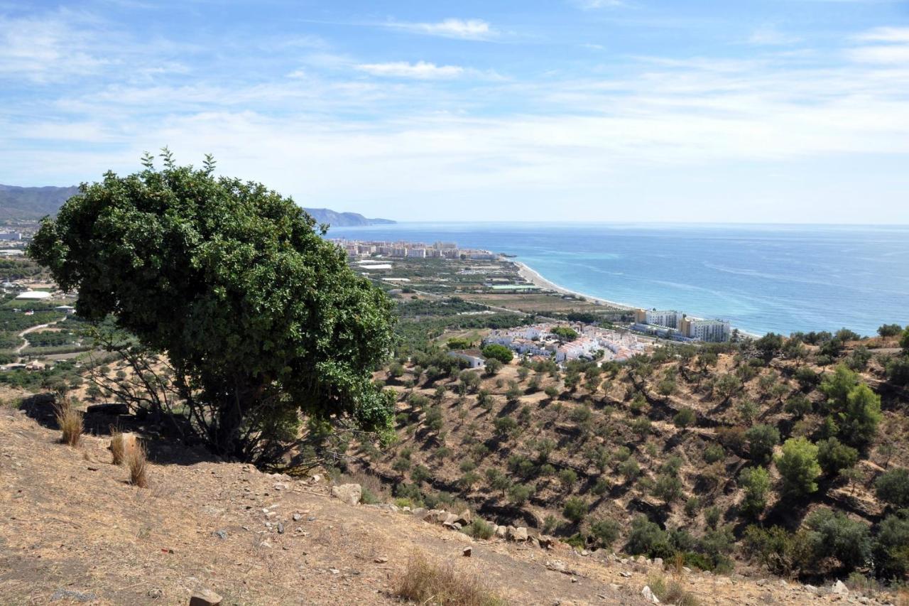 Nerja Paradise Rentals - Villa Los Girasoles Exteriör bild